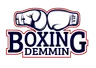 Vip Boxing Demmin e.V.