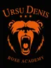Ursu Denis Boxe Academy 