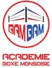 ACADEMIE DE BOXE MONSOISE